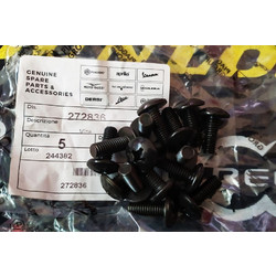 Βίδα M6x16mm Για Piaggio/Gilera/Vespa/Aprilia/Derbi 50-100-125-150-180-200-250-300-400-500-800cc Καινούργια Γνησιά