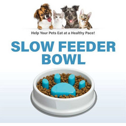 Ταΐστρα Μπολ Σκύλου - Γάτας Slow Feeder Bowl