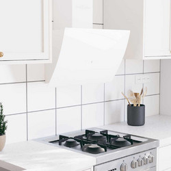 vidaXL 51676 Απορροφητήρας Καμινάδα-Τζάκι 60cm Λευκός