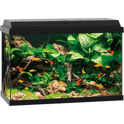 Juwel Aquarium Primo 70 LED Ενυδρείο Ψαριών με Φωτισμό, Θερμαντήρα, Κυκλοφορητή & Φίλτρο 70lt Μαύρο