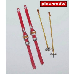 Skis with sticks