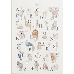 Πόστερ English alphabet, CAM CAM