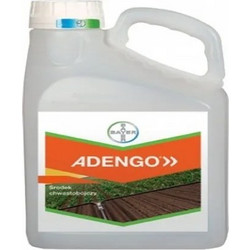 Adengo 465 SC 3L - Προφυτρωτικό/μεταφυτρωτικό ζιζανιοκτόνο στο καλαμπόκι