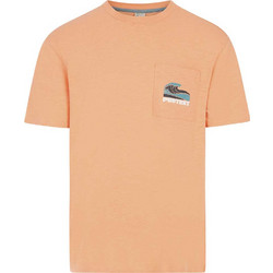 Protest Ανδρική κοντομάνικη μπλούζα Jake T-Shirt 17751024-607