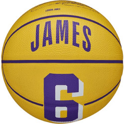 Wilson NBA Player Icon Lebron James Mini Ball WZ4007201XB