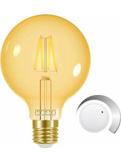 EL825909 | EL825909 | LED FILLAMENT AMBER DIM|G95 7.5W(54w) E27|2000k|700lm|enjoysimplicity(TM)