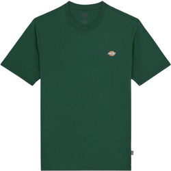 DICKIES MAPLETON T-SHIRT PINE NEEDLE GREEN