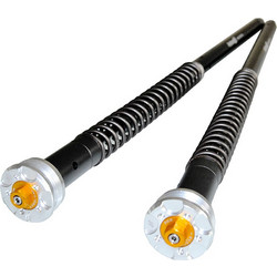 Andreani Cartridge Misano Evo 2 Honda Transalp 750
