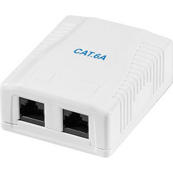 Cat.6A Surface Mounted Box 2 x RJ45, unshielded (LL-NP0101)
