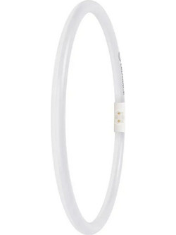 Osram LED Ringlampe T5 FC40/55 P 21,5W 830 2GX13