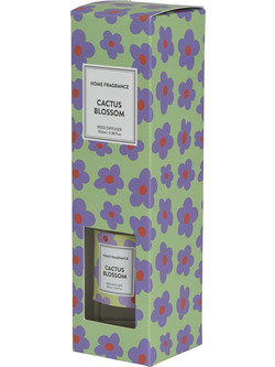 ΥΓΡΟ ΑΡΩΜΑΤΙΚΟ ΧΩΡΟΥ ΜΕ ΣΤΙΚΣ 100ML CACTUS BLOSSOM-KAEMINGK-8743641