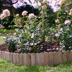 Ρολ μπαρ τάβλα 30(Y) x 150εκ