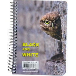 Black & White - Μπλοκ Σημειώσεων Σπιράλ, Ριγέ 100 Φύλλων, Hawk 1903
