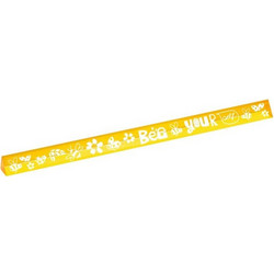 LOVELY PLANET RULER 20cm