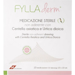 Fresiamed Fylladerm Αποστειρωμένο μη Κολλητικό Επίθεμα 10cmx10cm Βοηθά στην Ανάπλαση του Δέρματος 10 Τεμάχια