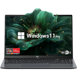 Acemagic LX15 Pro (Ryzen 7 5700U/16GB/512GB SSD/Radeon Graphics/Windows 11)