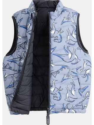 Παιδικό Μπουφάν 2 σε 1 για Αγόρια Dino Reversible ΜΠΛΕ