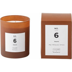 Bloomingville - NO. 6 Sequoia Scented Candle - Home and Kitchen
