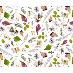 ΧΑΡΤΙ URSUS 50x68/300gr DRIED FLOWERS 10Φ