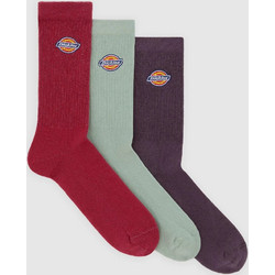 Dickies Valley Grove Ανδρικές Κάλτσες Vintage Violet 3-Pack DK0A4X82L791