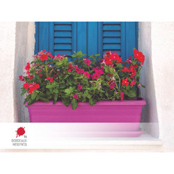 Ζαρντινιέρα terracotta no 491-14 45x21x18cm μπορντό