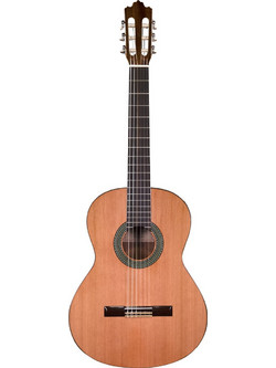 Prodipe Recital 300 4/4