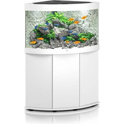 Juwel Aquarium Trigon 190 Ενυδρείο Ψαριών με Βάση Έπιπλο, Θερμαντήρα, Κυκλοφορητή & Φίλτρο 190lt Λευκό