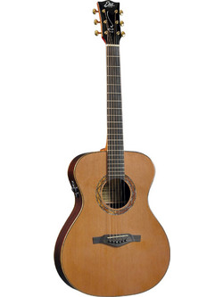 Eko Guitars WOW A800E