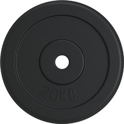 vidaXL Δίσκος Μεταλλικός 20kg Φ30mm