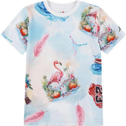Jordan Παιδικό T-Shirt Κοντομάνικο Γαλάζιο 95D844-001