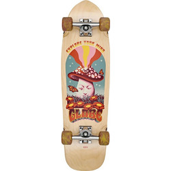 Globe Racer Neue Explorer 31