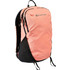 Burton Day Hiker 152861FE-EYV Σακίδιο Πλάτης 22lt Κοραλί