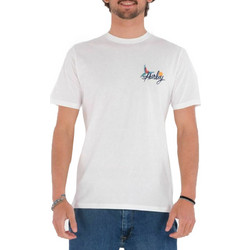 Hurley Ανδρικό Αθλητικό T-Shirt Λευκό MTS0029710-H100