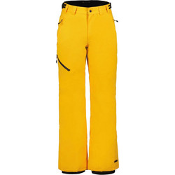 Icepeak Colman 57040659-437 Ανδρικό Παντελόνι για Ski & Snowboard
