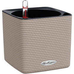 Lechuza Cube Color16 Αυτοποτιζόμενη Γλάστρα Εσωτερικού Χώρου Τετράγωνη Πλαστική Εκρού 17x17x16cm 13488