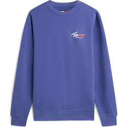 Tommy Jeans Ανδρικό Φούτερ Μωβ DM0DM23116-C6Q