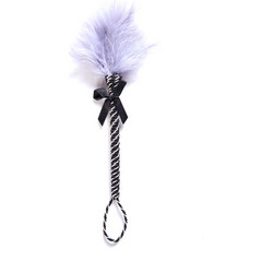 SweetVibes Feather Tickler 26cm Purple