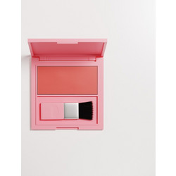 Garden Fairyland Fairy Dust Powder Blush 2.5gr