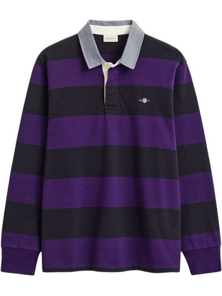 Gant Ανδρική Μπλούζα Polo Μακρυμάνικη Μωβ 3G2004083-544