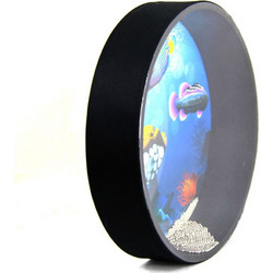 WAVE OCEAN DRUM RP DP312D 12"