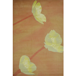 Sprintzio Mistral Χαλί Ορθογώνιο 160x230cm 5450 Orange