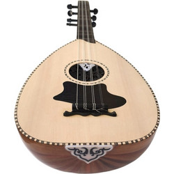 Πολίτικο Λαούτο Makam Muzik standard modelΚωδικός: 24816219