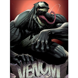 Marvel Comics Venom (Rock) Wooden Framed 30 x 40cm Print - FP12294P