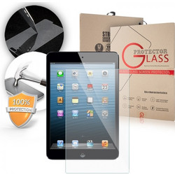 LCD GLASS SCREEN PROTECTOR iPad mini 7,9"