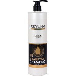 Paul Mitchell Clarifying Two Σαμπουάν για Λιπαρά Μαλλιά 1000ml