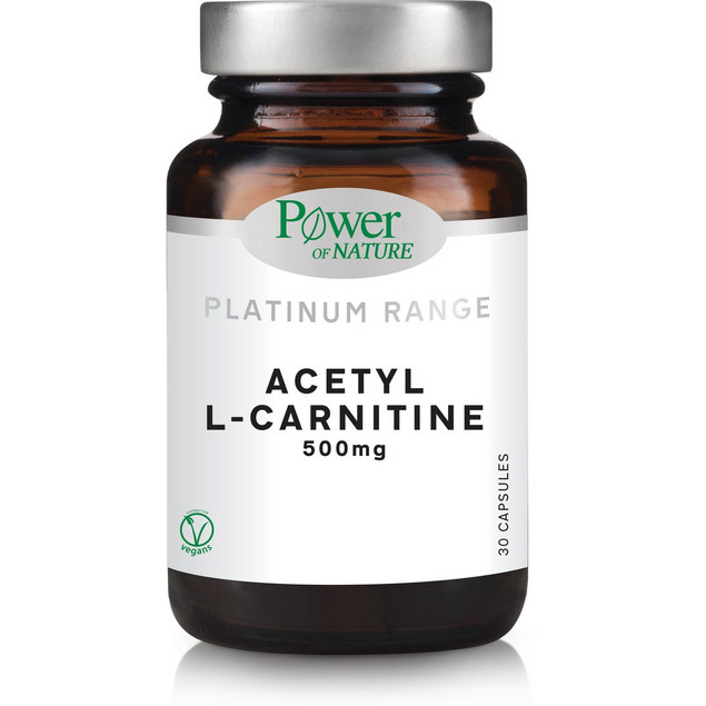 l-carnitine L l -