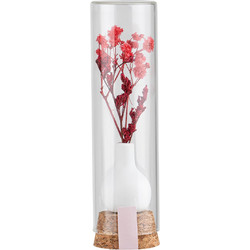 Raeder - Αποξηραμένα Λουλούδια Σε Γυάλινο Βαζάκι Bouquet Red