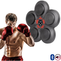 Wall-Mounted Electronic Punching Target inSPORTline Smartpunch