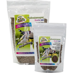 Evia Parrots Cicoria Seed 100gr