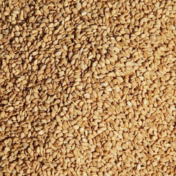 Pico Sesamo - Λευκό Σουσάμι Ωμό - 1kg